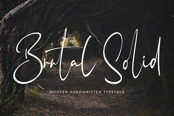 Brutal Solid: A Delicate Script Font for Branding