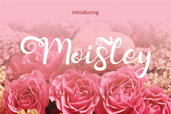 Moisley Font for Elegant Small Business Branding