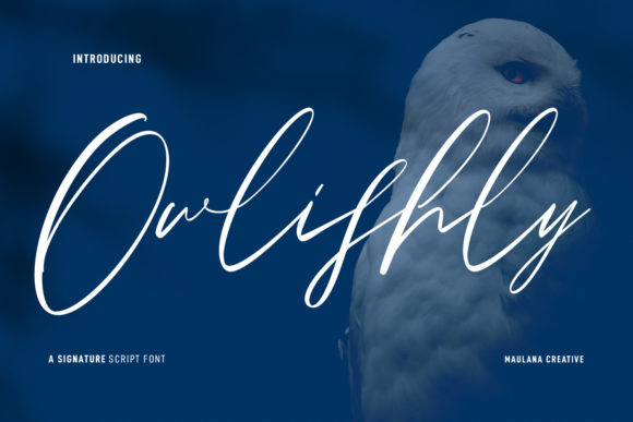 Owlishly: A Modern Script Font for Small Business Branding